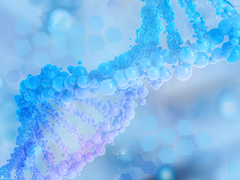 生物菌肥和化肥的优势对比